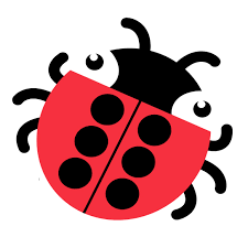 A friendly lady bug in red and black has a full 6-dot braille cell on her back