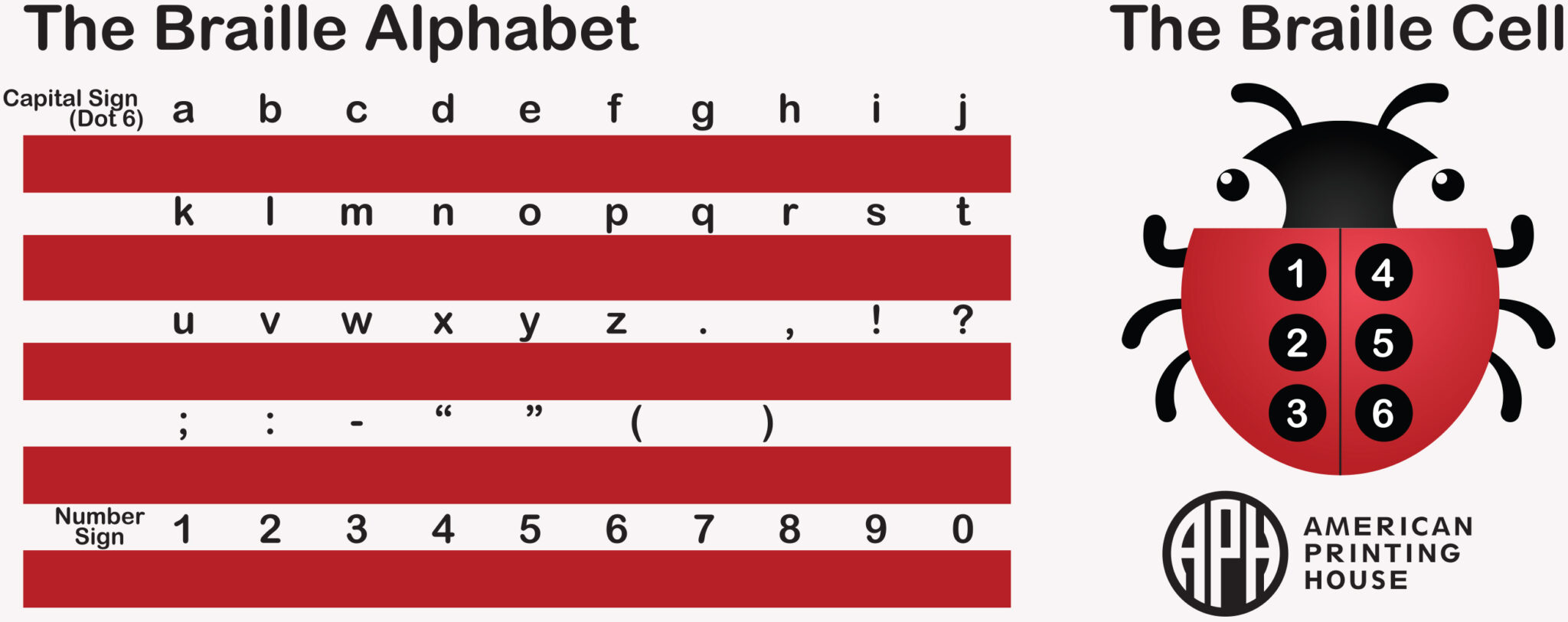 Braille Resources BrailleBug